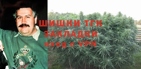 гидра Алексеевка